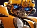 Igra Bumblebee Hidden Spots spletu