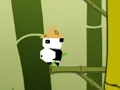Igra Panda Jump spletu