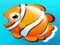 Igra Fish Resort spletu