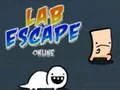 Igra Lab Escape Online spletu