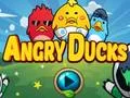 Igra Angry Ducks spletu