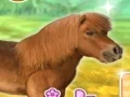 Igra My Dear Pony spletu