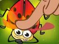Igra Insect Cush spletu