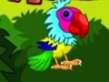 Igra Couple Parrot Escape 2 spletu