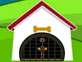 Igra Ostrich Rescue spletu
