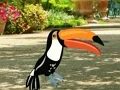 Igra Find Woodpecker Pair spletu