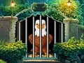 Igra Dauntless Eagle Escape spletu