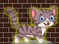 Igra Loveable Small Cat Escape spletu