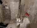 Igra Occupied spletu