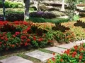 Igra Leaf Farm Garden Escape spletu