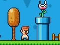 Igra Ninja Plumber spletu