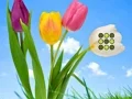 Igra Flower Lawn Escape spletu