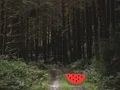 Igra Dense Forest Deer Escape spletu