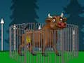 Igra Aggressive Bull Escape spletu