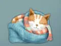 Igra Adorable Escape Find Cute Kitten spletu
