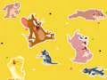 Igra The Tom and Jerry Show Find it! spletu