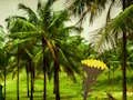 Igra Escape From Coconut Land spletu