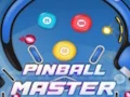 Igra Pinball Master spletu
