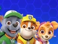 Igra Paw Patrol spletu
