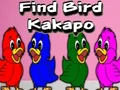 Igra Find Bird Kakapo spletu