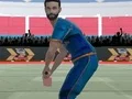 Igra Cricket Powerplay spletu