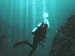 Igra The Depths spletu