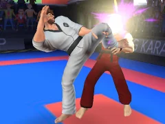 Igra Karate Fighter spletu