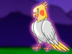 Igra Release the Cockatiel Bird from Cage spletu