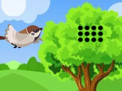 Igra Sparrow Meets Crow Buddies spletu