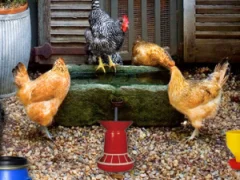 Igra Poultry Farm Easter Escape spletu