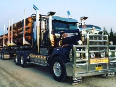 Igra American City Truck Transporting spletu