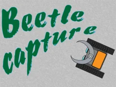 Igra Beetle Capture spletu