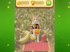 Igra Farm Cat Memory Match spletu