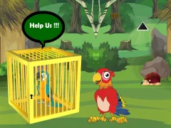 Igra Release Trapped Macaw Buddy spletu