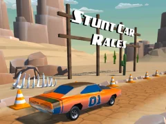 Igra Stunt car Races spletu