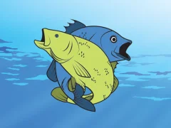 Igra Friendly Fish Coloring spletu