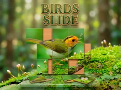 Igra Birds Slide spletu