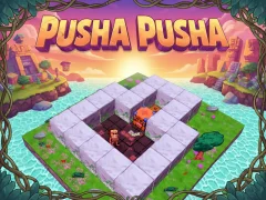 Igra Pusha Pusha spletu