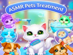 Igra ASMR Pets Treatment spletu