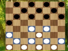 Igra Classic Checkers: Forest spletu