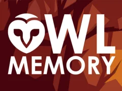 Igra Owl Memory spletu