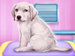Igra Labrador at the doctor salon spletu