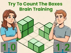 Igra Try To Count The Boxes Brain Training spletu
