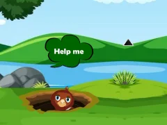 Igra Help Injured Bird Fallen Down spletu