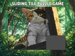 Igra Sliding Tile Puzzle Game spletu