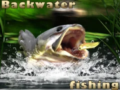 Igra Backwater Fishing spletu