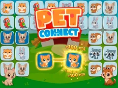 Igra Pet connect spletu