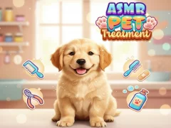 Igra Asmr Pet Treatment spletu