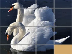 Igra Animals Slide Puzzle spletu
