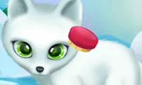Igra Paws to Beauty Arctic Edition spletu